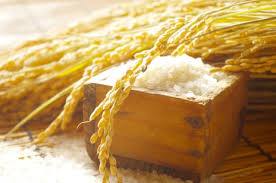 ななつぼし（玄米） 5kg